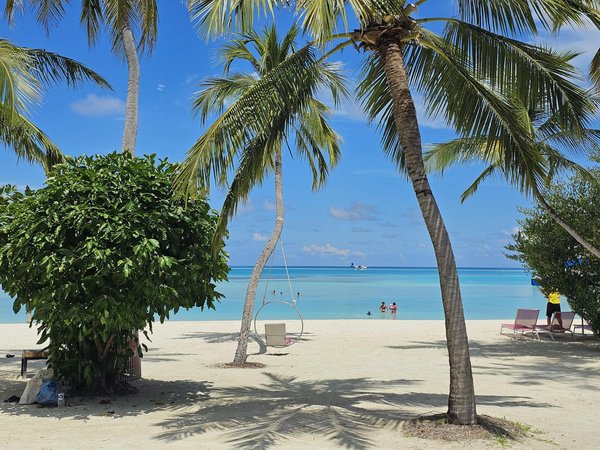 Noleggio Facile per il Tuo Prossimo Vi